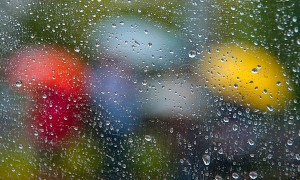 Summer Rain